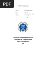 Download Laporan Ekskursi Sedimentologi dan Stratigrafi by kabidin SN26348455 doc pdf