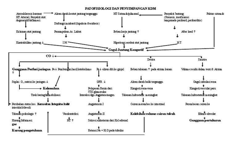 CHF Penyimpangan KDM | PDF | Kesehatan Holistik