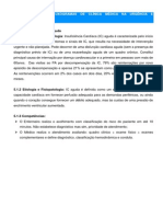 Anexo VII PROTOCOLOS E FLUXOGRAMAS DE CLÍNICA MÉDICA NA URGÊNCIA E EMERGÊNCIA PDF