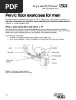 Pelvic Floor Exercises For Men