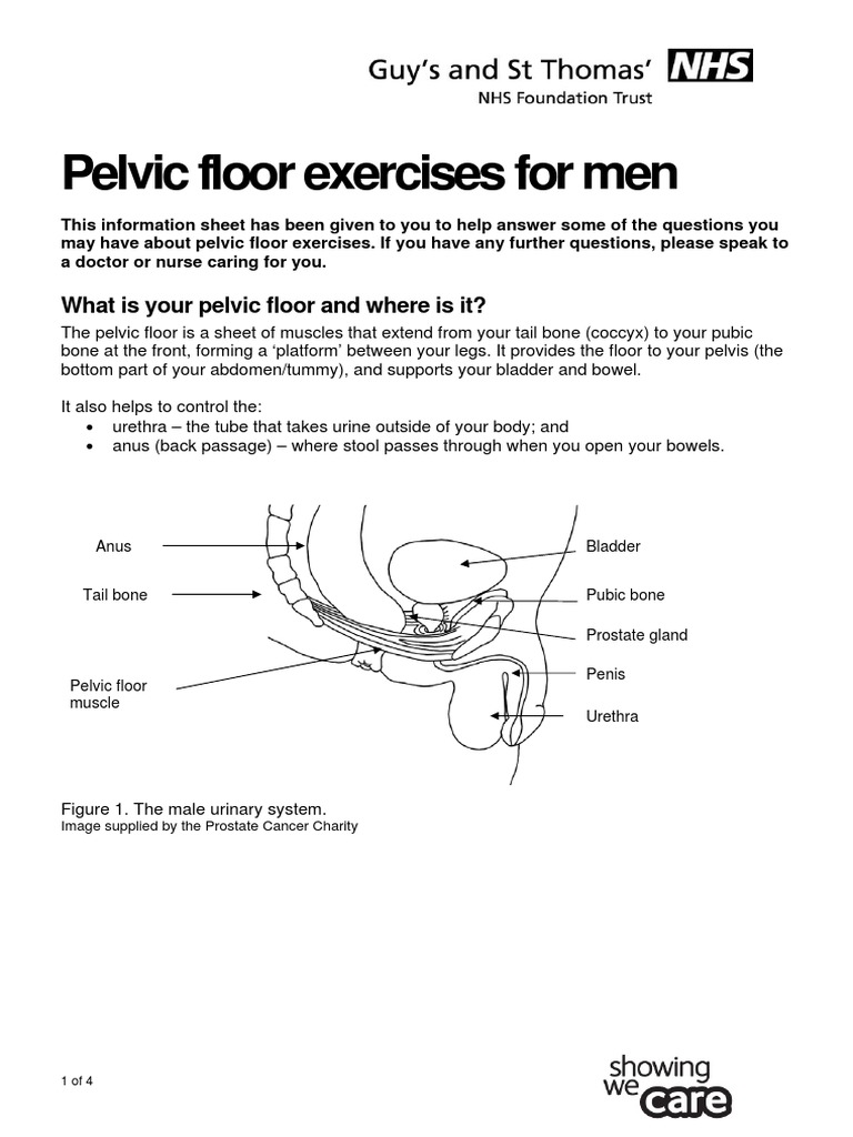 Pelvic Floor Exercises for Men Urinary Incontinence Urology