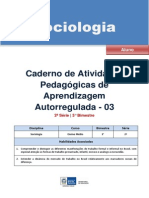 Apostila Sociologia 2 Ano 3 Bimestre Aluno