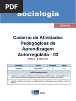 Apostila Sociologia 2 Ano 3 Bimestre Professor