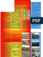 Desain Leaflet Penanaman Rumput Raja N Gajah XXX