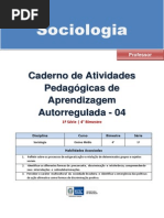Apostila Sociologia 1 Ano 4 Bimestre Professor