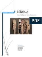 Informe Anatomía LENGUA