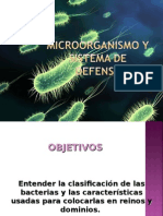 Bacterias 1