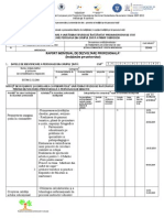 4.1 Raport Individual Dez Prof BELENA