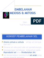 Mitosis Meiosis