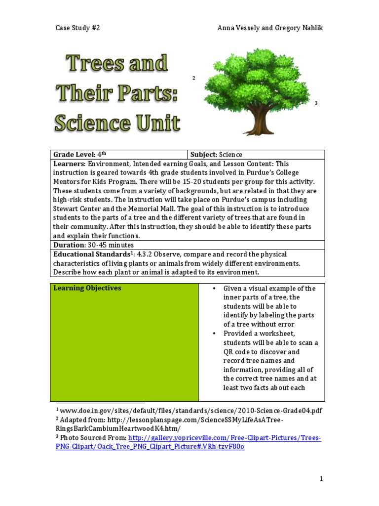 Parts of A Tree Lesson Plan PDF Lesson Plan Learning