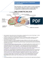 3 Unidad Funcional de Luria