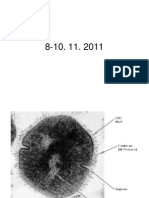 Antibiotice_chimioterapice - Copy