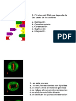 Repaso Primer Examen Parcial 2010