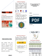 Notación Científica