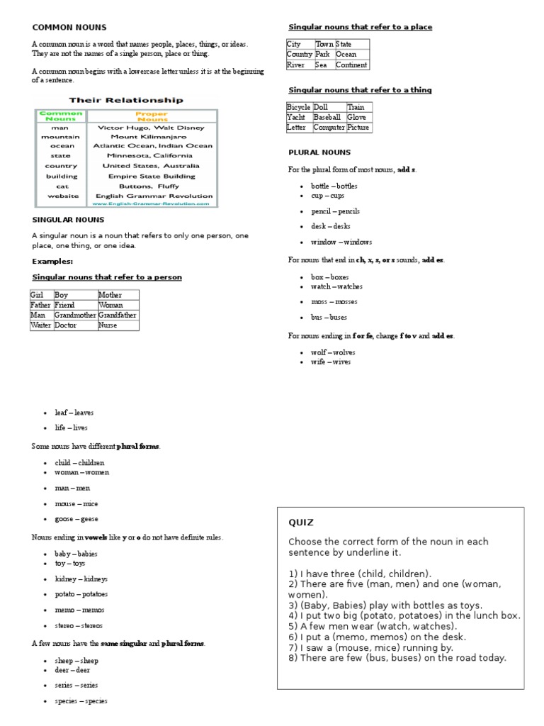 Singular and Plural Noun Examples | PDF | Foreign Language Studies