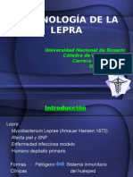 Inmunología de la Lepra: Respuesta inmune frente a Mycobacterium Leprae