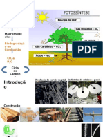 Ciclo do carbono e derivados da celulose