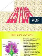 Parts de La Flor