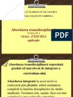 0 Abordarea Transdisciplinara