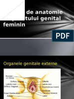 Notiuni de Anatomie A Aparatului Genital Feminin