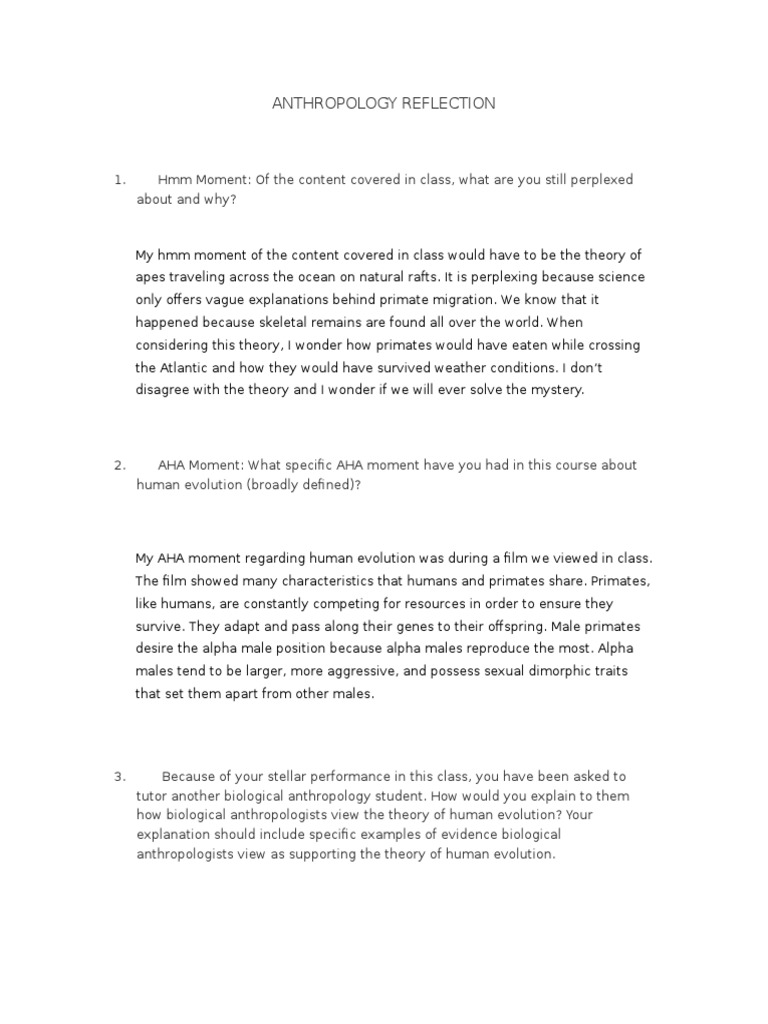 Anthropology essay ideas image