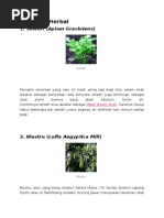 Download Tanaman Herbal by WindryTandibunna SN263656699 doc pdf