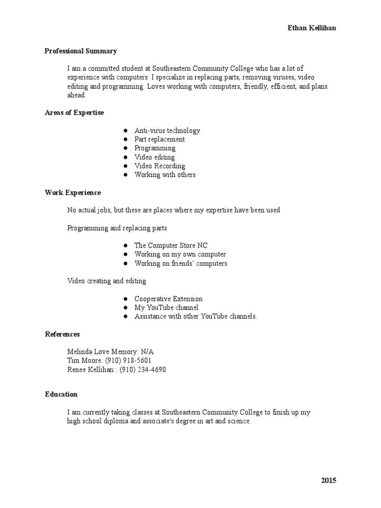 Ethan Kellihan Professional Summary | PDF | Business