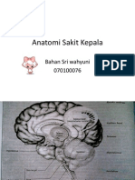 Anatomi Sakit Kepala