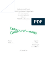 Generalidades del Plátano.docx