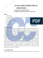 l’Isolamento Del Campo Operatorio in Endodonzia