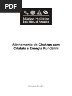 Alinhamento de Chakras Com Cristais e Energia Kundalini