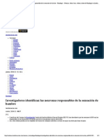 Investigadores identifican las neuronas responsables de la sensación de hambre – Fisiología – Noticias, última hora, vídeos y fotos de Fisiología en lainformacion