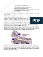 Histologia - Tecido Muscular