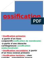 05 Ossification