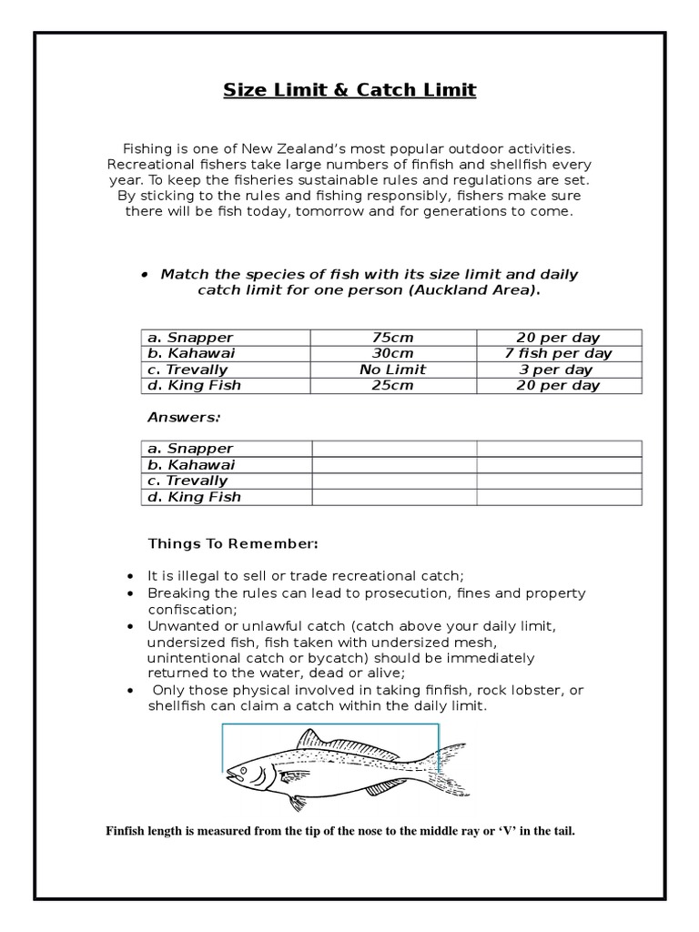 NZ Fish Size and Catch Limits | PDF | Wellness