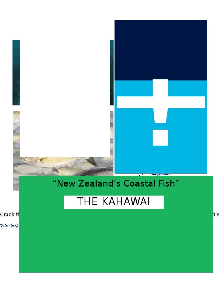 New Zealand Coastal Fish Code Puzzle | PDF