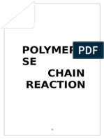 Polymera SE Chain Reaction