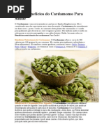 Os 12 Benefícios Do Cardamomo Para Saúde