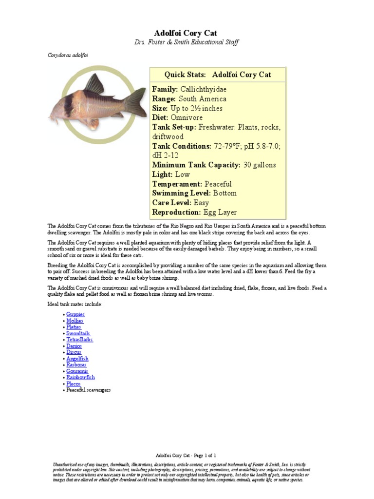 Adolfoi Cory Cat: Driftwood DH 2-12 | PDF | Home & Garden