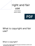 copyright and fair use for website