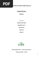 Download Laporan Praktikum Kimia i Termokimia by Kinanthi S Pangestuningtyas SN263770634 doc pdf