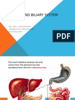 Liver and Biliary System: DR Anil Chaudhary Associate Professor Physiology