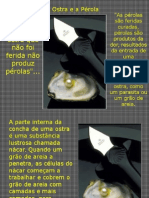 Aostraeapérola.ppt