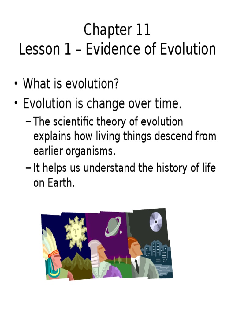 Change Over Time - Lesson 1 | PDF | Genetic Diversity | Natural Selection