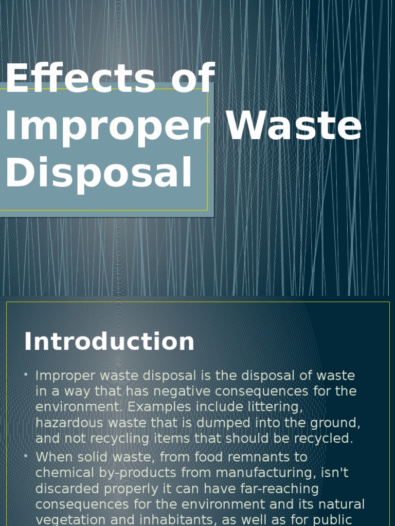 Effects of Improper Waste Disposal PDF Municipal Solid Waste