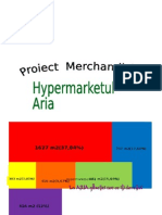 Hypermarketul Aria.docx