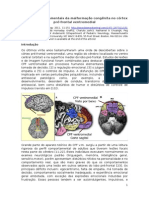 Efeitos Comportais Da Malformação Do Córtex Pré Frontal Ventromedial