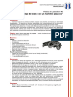 Práctica de Laboratorio5 TSB.pdf