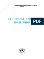 Justicia Juvenil Peru 2013 Final