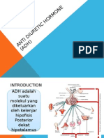 Anti Diuretic Hormone (Adh)